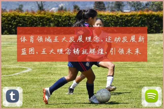 体育领域五大发展理念,运动发展新蓝图,五大理念铸就辉煌,引领未来。