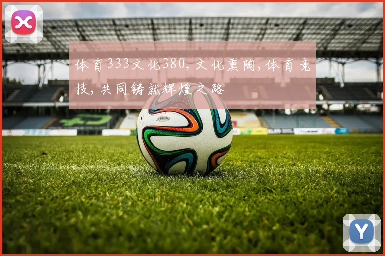 体育333文化380,文化熏陶,体育竞技,共同铸就辉煌之路